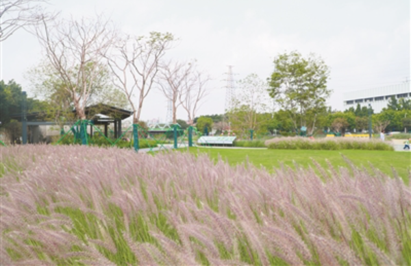 扶胥古運(yùn)河2026年開放夜游